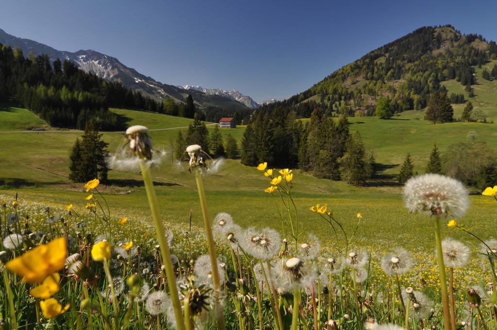 Landhotel Berghof Bad Hindelang Quarto foto